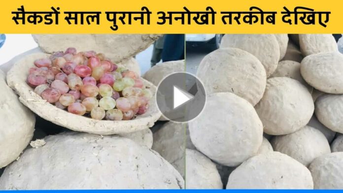 Amazing trick to preserve fruits in mud pot for 6 months