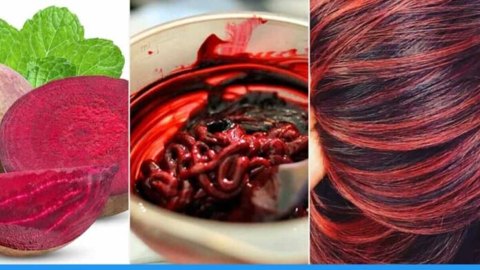 Process to make natural hair colour with cukandara juice