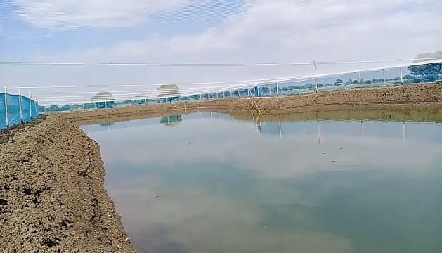 Kishor Chaudhary Quit His Job And Started Fish Farming