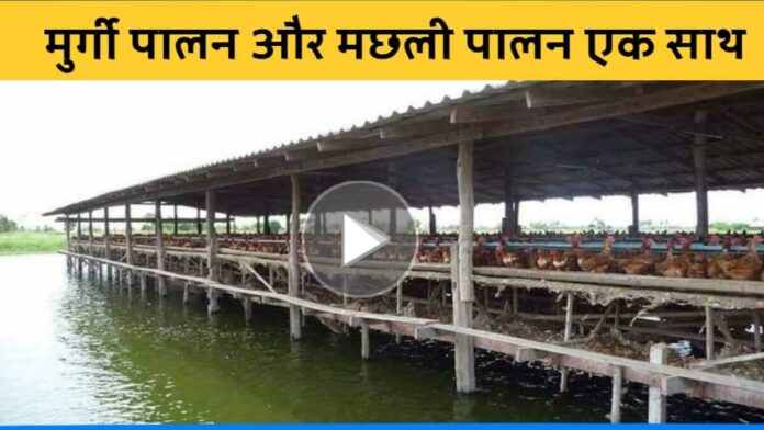 Sanjeev singh integrated poultry farm and fish farming in bulandshahar