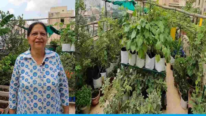 Shashiman Chanda Grows 400 Types Of Vegetables And Fruits