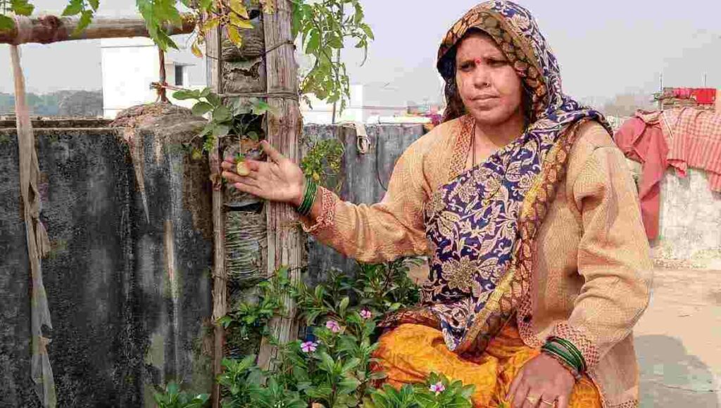 Sunita prasad from chapra grows vegetables in pvc pipe