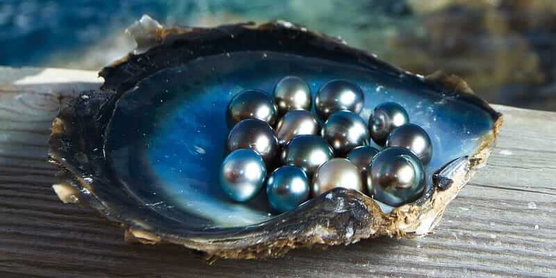 Narendra kumar garwa earns lakh by pearl farming