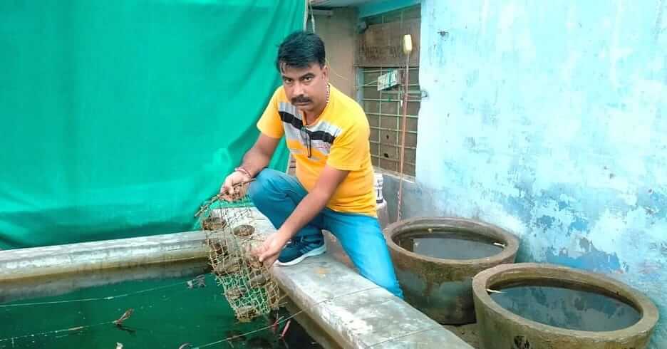 Rajasthan Farmer Narendra Kumar Garwa earning rs 5 lakh from pearl farming