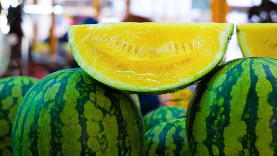 yellow watermelon is very beneficial