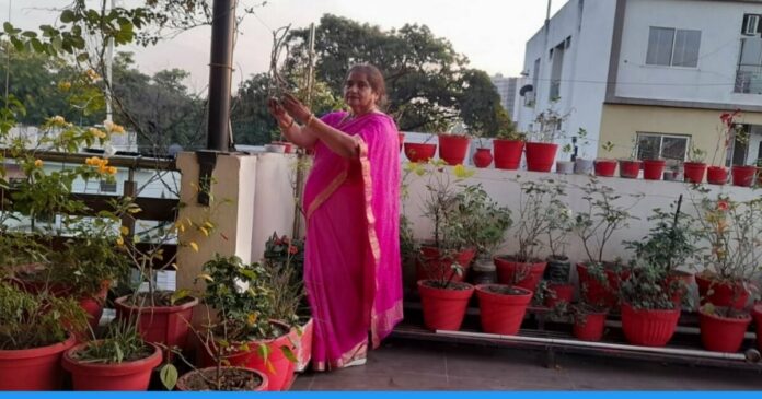 65 years old woman chetna bhati doing terrace Gardening