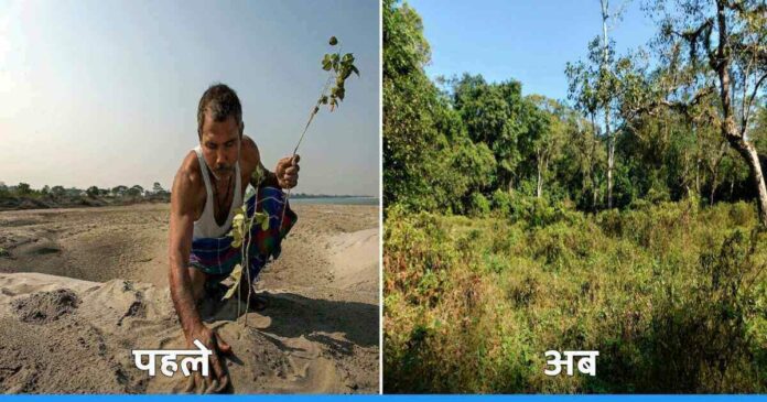 Forest man of india Jadav molai payeng turned muddy land into green forest, Molai Forest