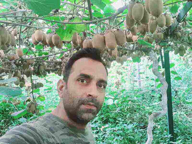 Mandeep verma quits his corporate job and earns rs 40 lakh annually by kiwi and apple farming