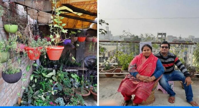 Patna Couple rewati raman sinha and anshu sinha started Nursery Business at home Gardening