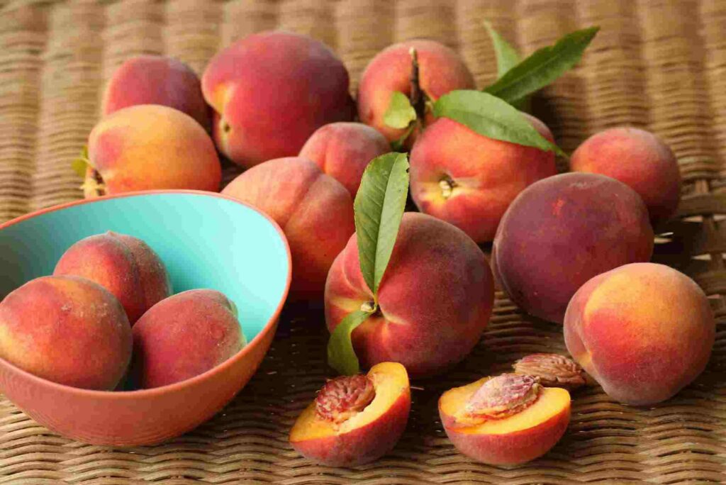 Tips For Growing Peach Plant At Home