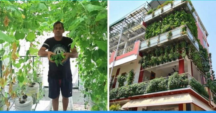 Ramveer Singh Grows Vegetables In Hydroponic System