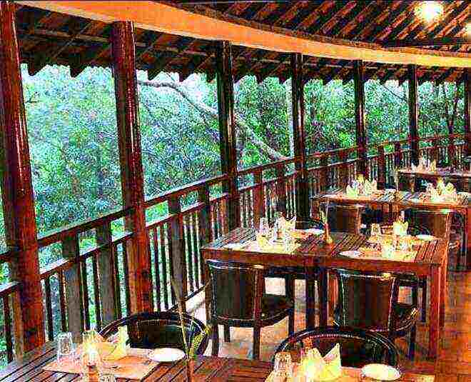 Vythiri Resort tree houses to spend quality time in summer