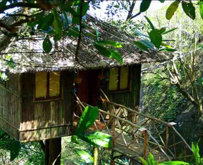 Vanya tree houses to spend quality time in summer