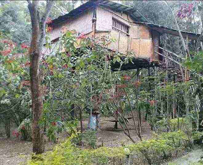 Wild Canopy Nature Reservetree houses to spend quality time in summer