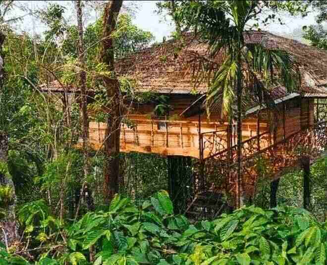 Tranquil Resort tree houses to spend quality time in summer