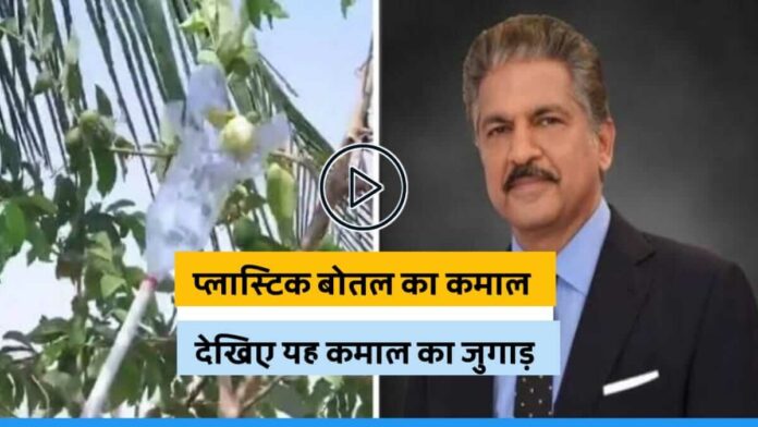 Anand mahindra shares viral video of man plucking fruit with plastic bottle