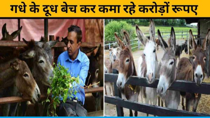 AB from Kerala Earning Crores From Donkey's Milk