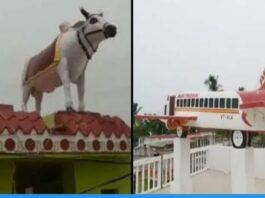 Villagers of Balathi Maheshpur village of Bihar builds attractive models on the roof of their houses