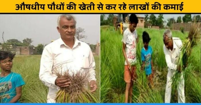 Gopalganj Farmer Meghraj Prasad earnings rs 20 lakhs by medicinal plant farming