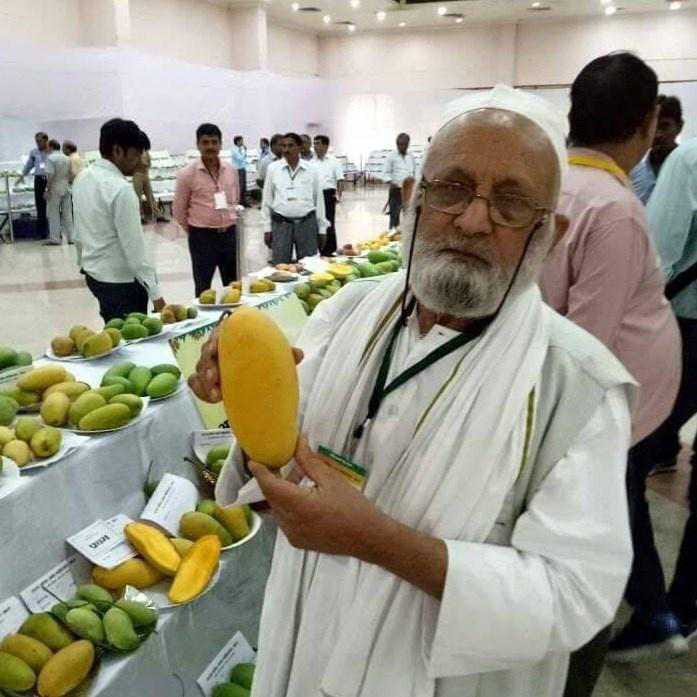 Kalimullah Khan Grew 300 Type Of Mango From A Single Tree