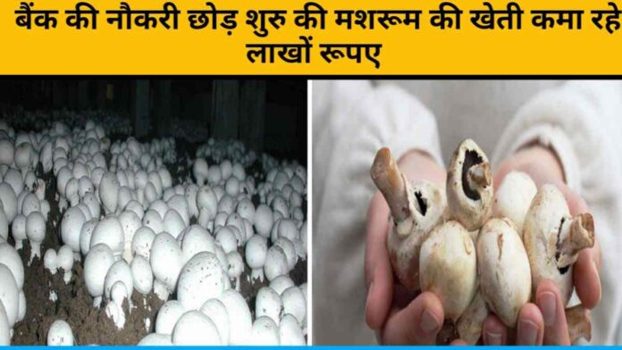 Leaving Bank Job Earning Lakhs Of Rupees From Mushroom Cultivation