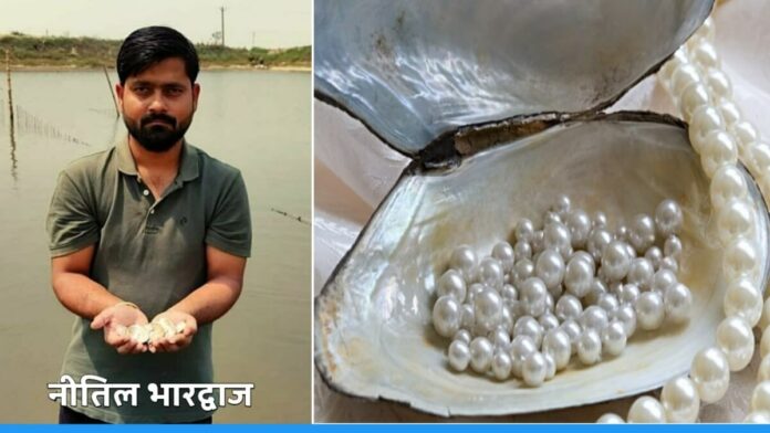 Nitil Bhardwaj from West Champaran of Bihar earning Rs 30 lakh annually from Pearl Farming