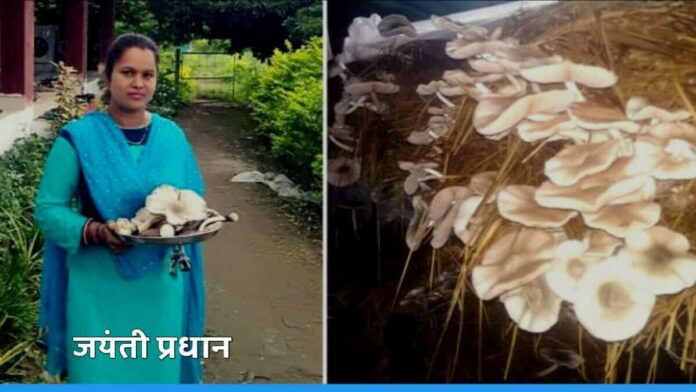 Odisha's Jyanti Pradhan earning rs 20 lakh annually from Paddy Straw Mushroom Farming