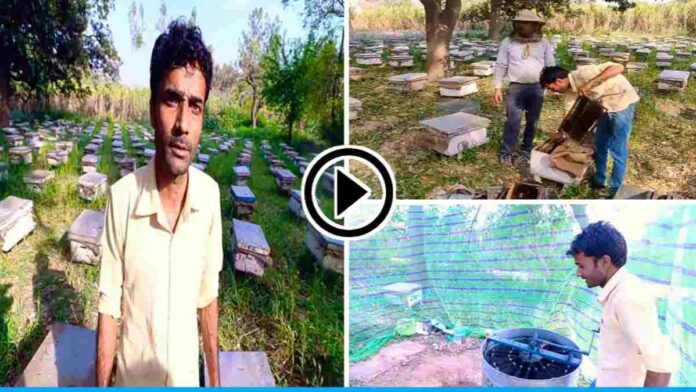 Praveen Is Earning Lakhs From Bee Keeping
