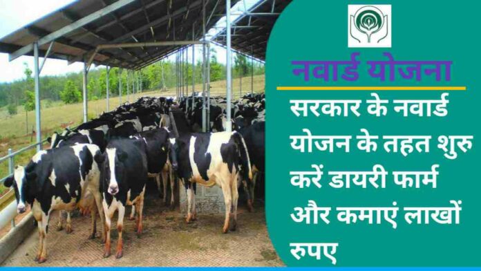 Start Dairy Farm Under Navard Yojna You Will Get Subsidy