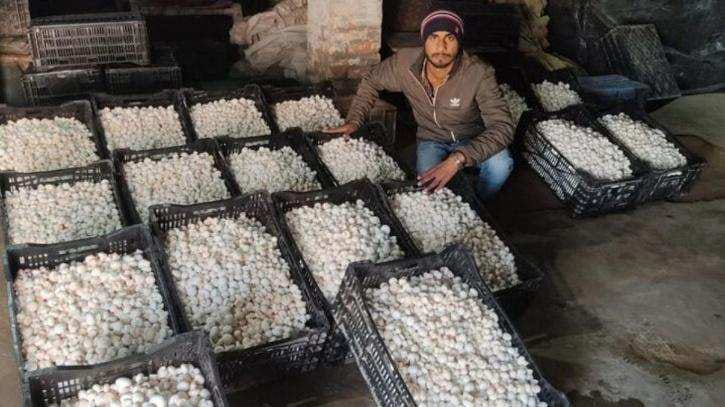 Vikash Verma Produces Products Like Biscuits , Chips And Drink From Mushrooms By Cultivating Mushrooms