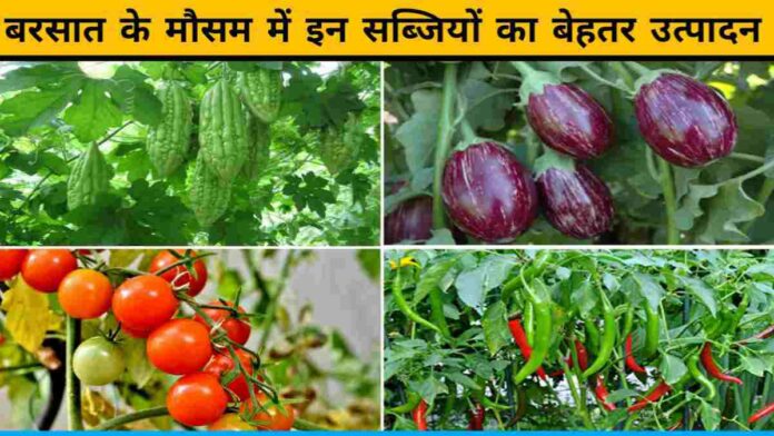 Better Production Of These Vegetables In Rain Season