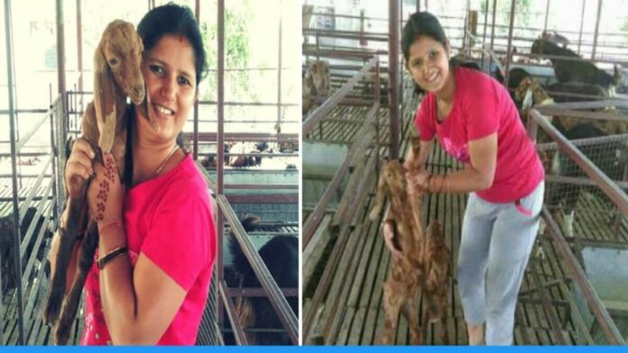 Fashion Designer Sweta Tomar doing goat farming