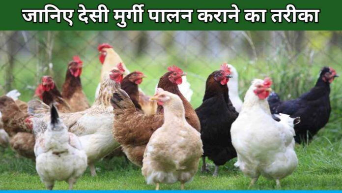 Know How To Raise Desi Poultry