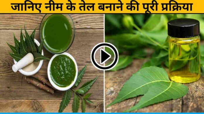 Know the complete process of making neem oil