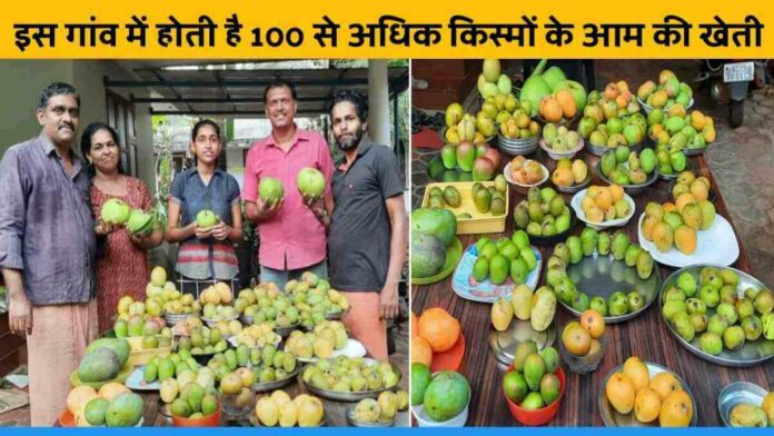 Kerala's Village Kuruvakkavu Grow more than 100 Varieties of Mangoes.