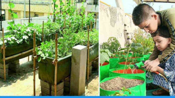 Mithlesh Kumar from Delhi farming organic vegetables at his terrace