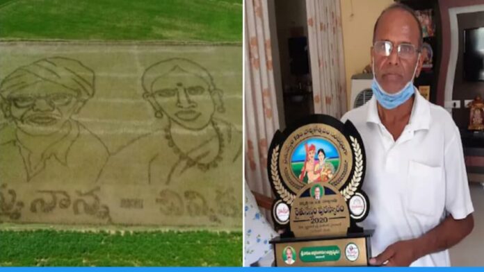 Telangana Farmer Nagula Chinna Gangaram draw sketches his parents with paddy on farm