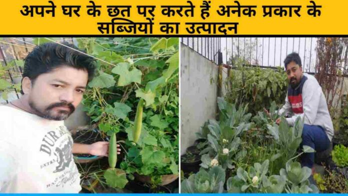 Rajkumar Singh Rawat grows many types of vegetables on the terrace