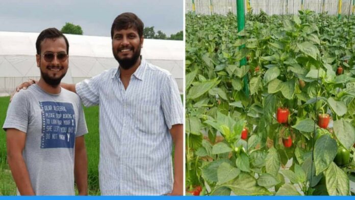 Two brothers Shashank Bhatt and Abhishek Bhatt from Lucknow earning 15 Crore rupees by Modern Farming