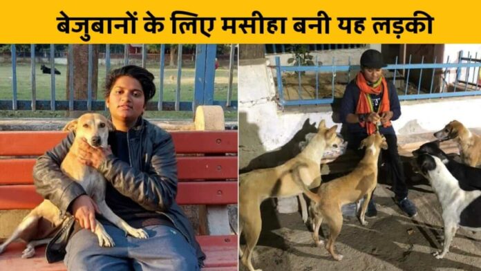 Sonam from Varanasi takes care of stray animals with her own money
