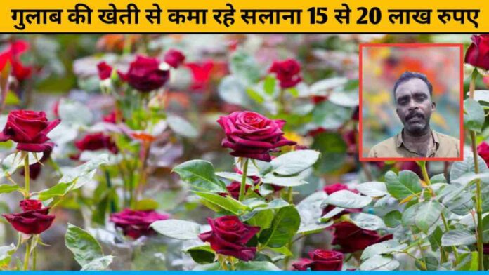 Sudhir Varma Earning 15 To 20 Lakh Rupees Annually From Rose Cultivation