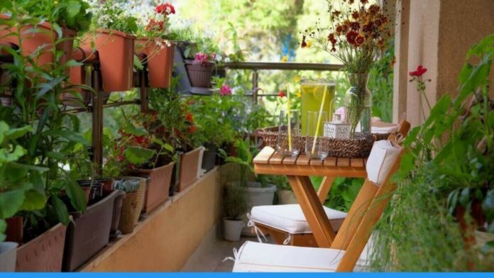 Tips to do Gardening in Small place Easily at home