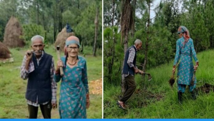 Elderly Couple Narayana Singh Mehra and Nanda Devi of uttarakhand turned Barren mountain Into a Green Forest