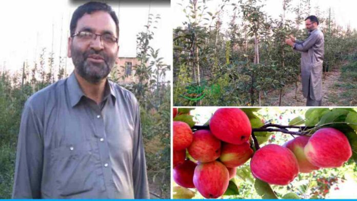Ghulam Hasan Khan got success from Italy apple cultivation