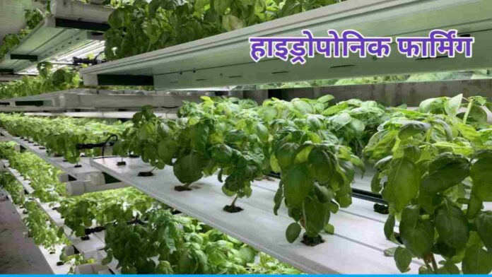 Hydroponic farming method and its advantages