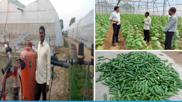 Jitendra Kumar Saini of Rajasthan is earning crores of rupees by farming with cow dung and milk.