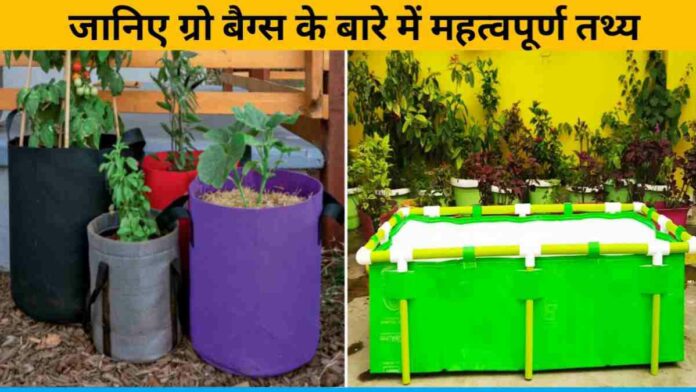 Know important facts about grow bags