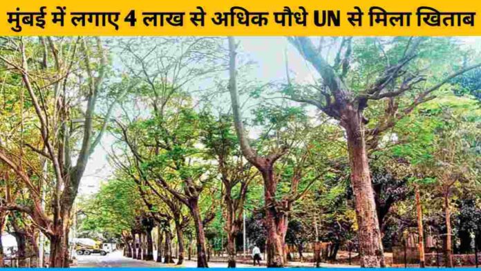 More than 4 lakh saplings planted in Mumbai got title from UN