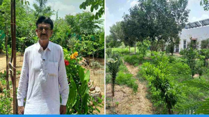 Retired Soldier of Rajasthan Jameel Pathan made the Barren Land Green