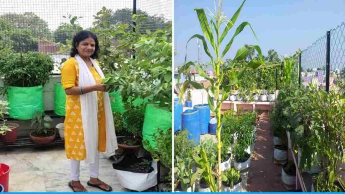 Ritu Goyal Grows A Variety Of Vegetables On Her Terrace